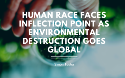 Human Race Faces Inflection Point as Environmental Destruction Goes Global